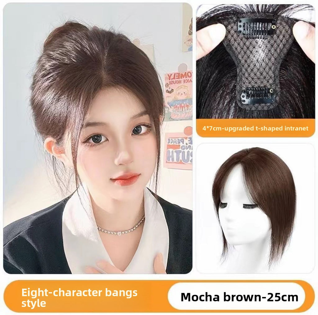Brow hairpiece - ElevateHealthTech