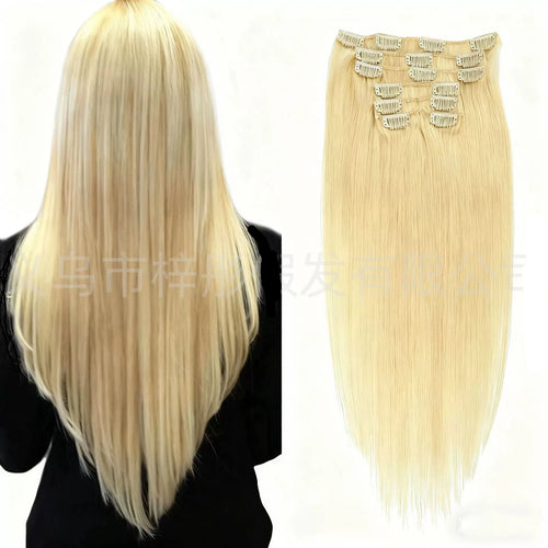 Blonde /  Classic Clip-Ins (100g-120g)( #24) - ElevateHealthTech