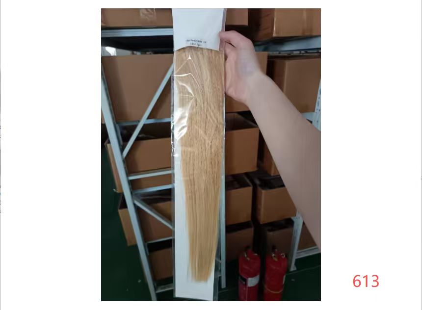 Light Blonde Premium Classic Clip-In Hair Extensions(100g-130g)(#613) - ElevateHealthTech