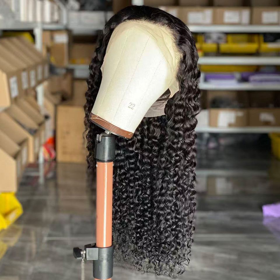 Human Hair Wig - ElevateHealthTech
