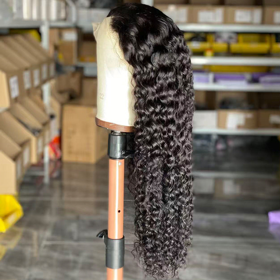 Human Hair Wig - ElevateHealthTech